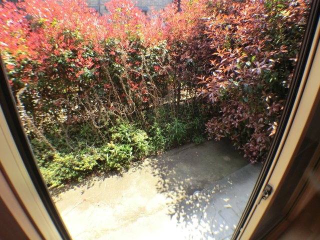 13/28 その他画像