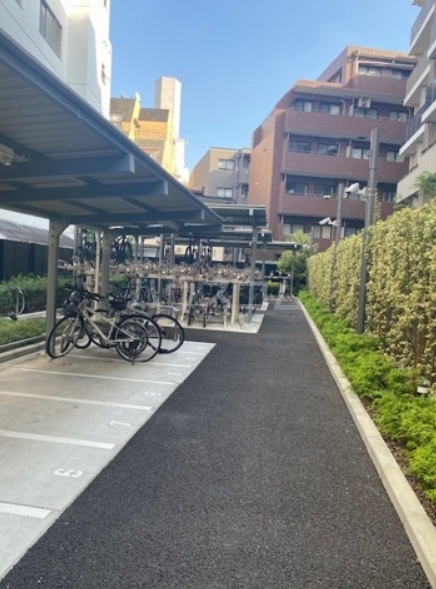 11/15 その他画像