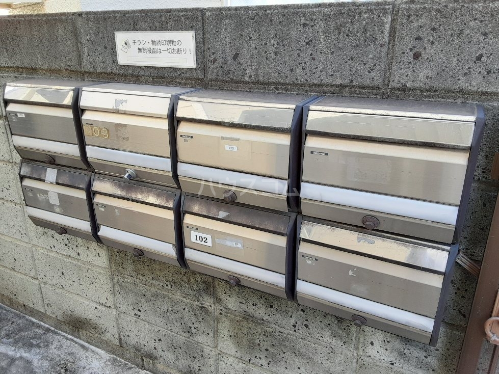 20/30 その他画像