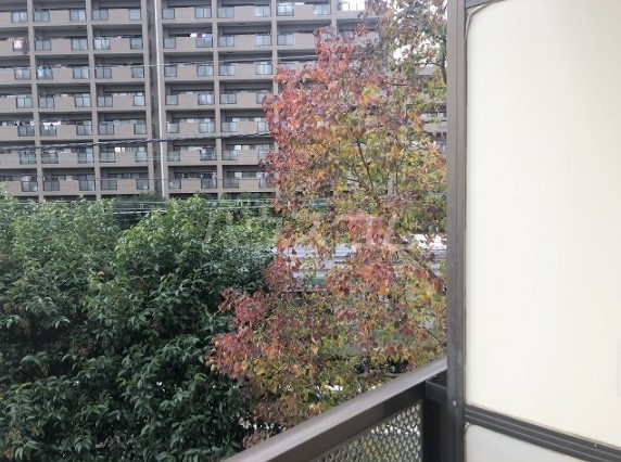 14/21 その他画像