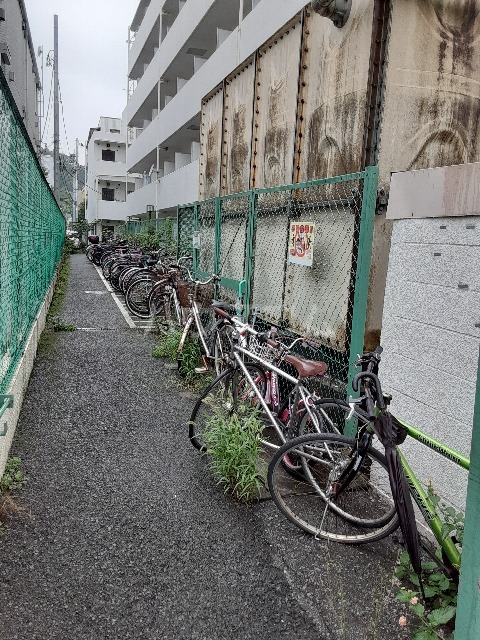 その他画像