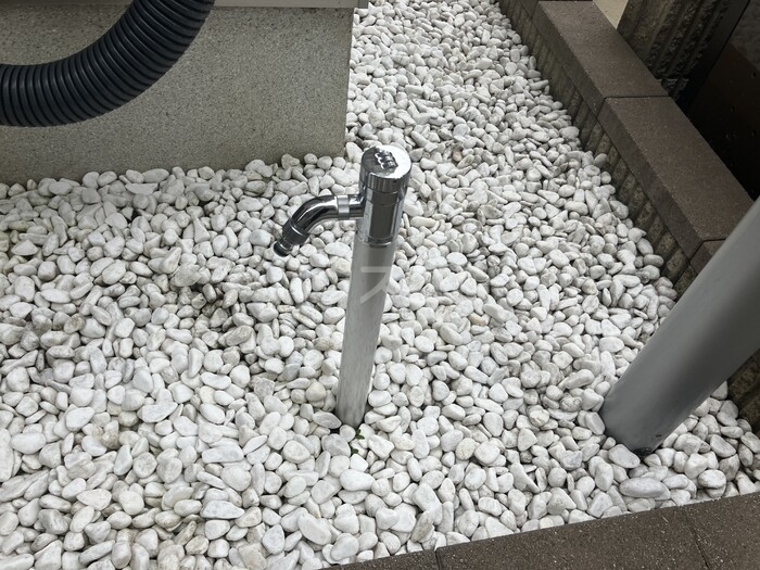 11/17 その他画像