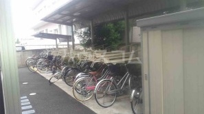 11/27 その他画像