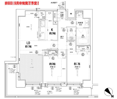2/28 間取