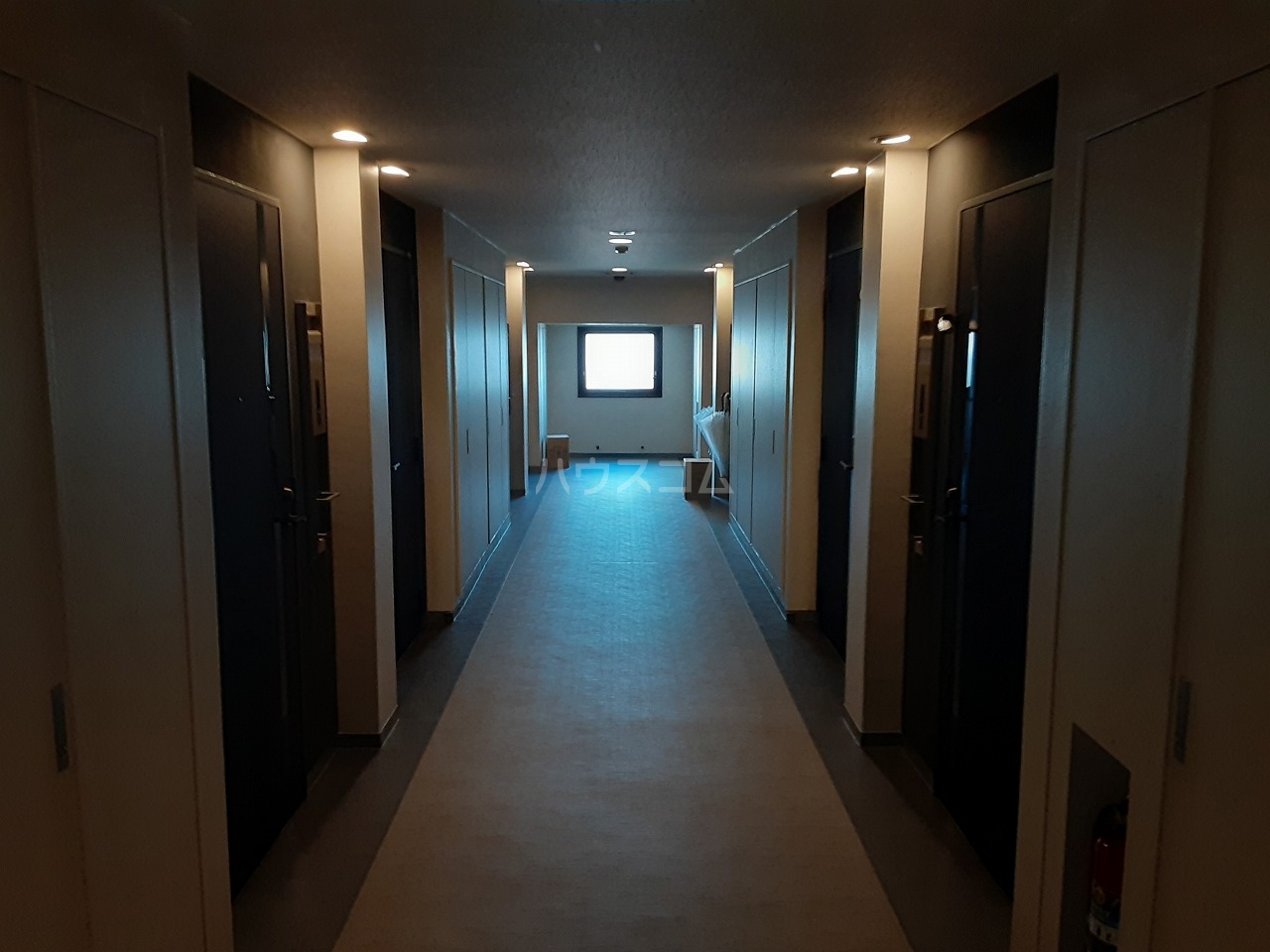 15/29 その他画像