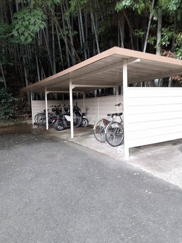 その他共有