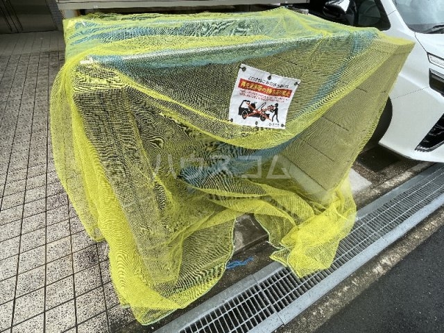 20/30 その他画像
