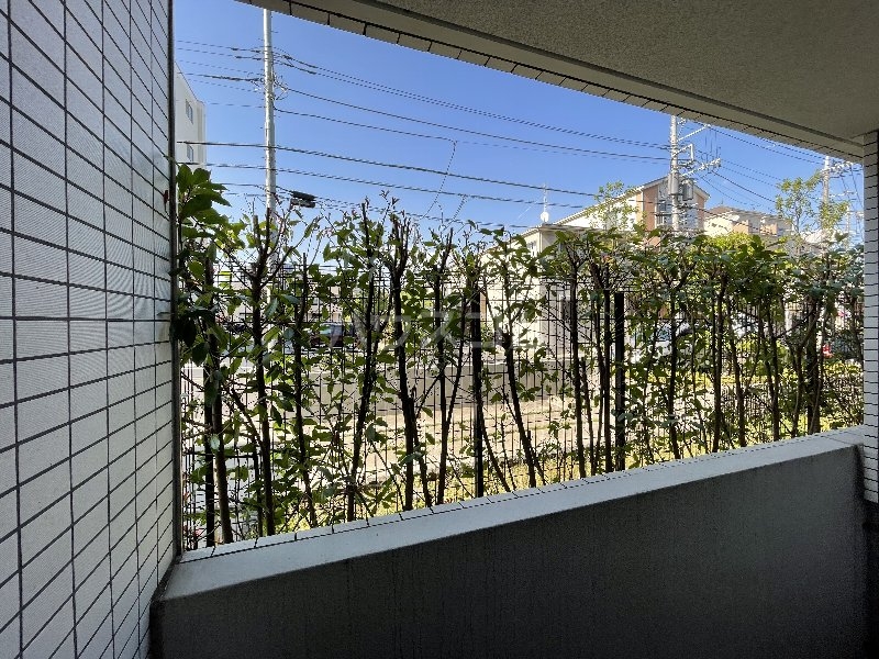 16/21 その他画像