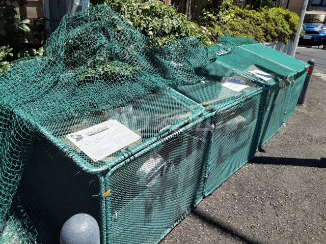 20/28 その他画像