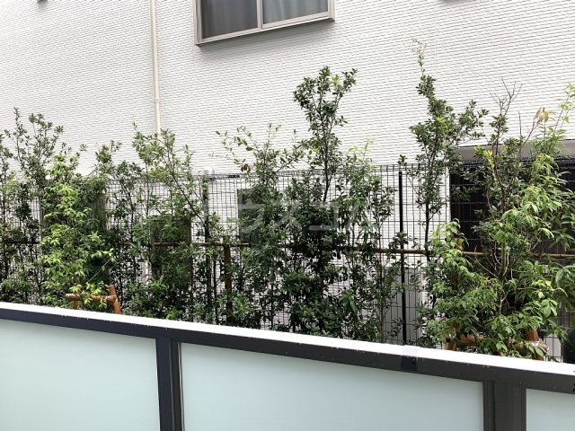 15/29 その他画像