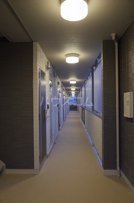 20/30 その他画像