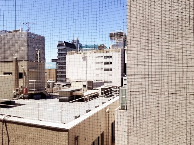 19/30 その他画像