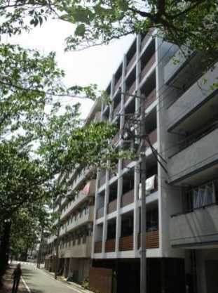 21/29 その他画像