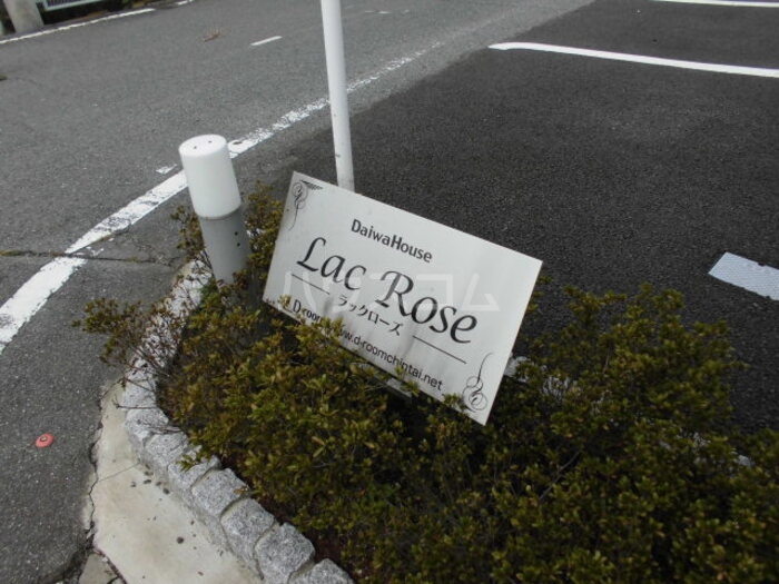 17/19 その他画像