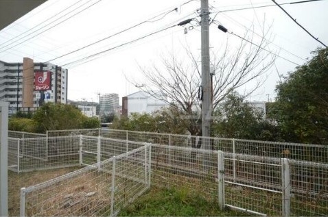 11/26 その他画像