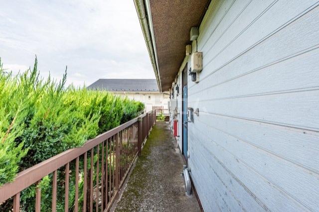 21/29 その他画像