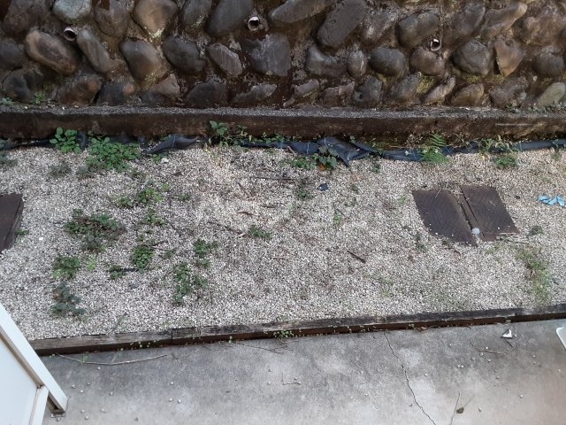 11/24 バルコニー