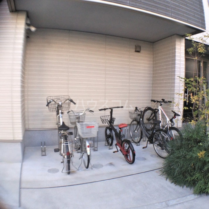 11/15 その他画像