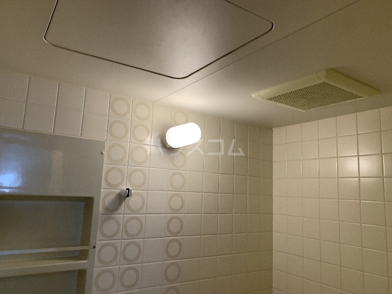 28/30 その他画像