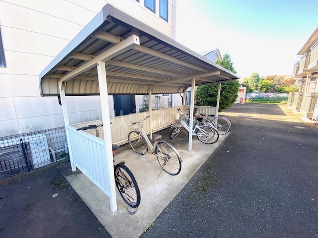 20/30 その他画像