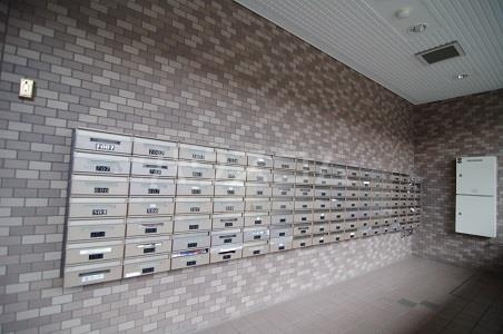 17/26 その他画像