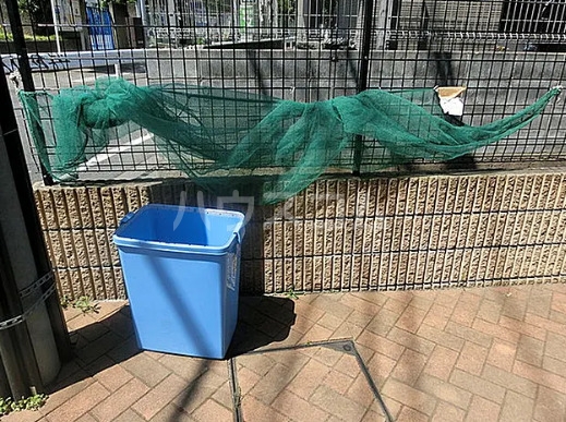 12/22 その他画像