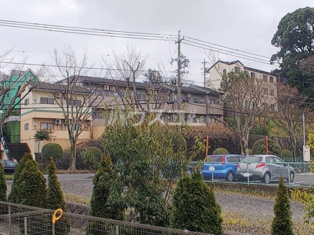 15/19 その他画像