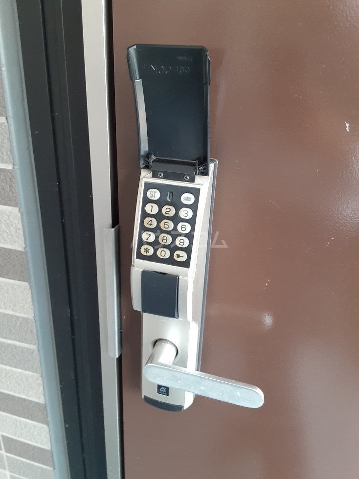 17/25 その他画像