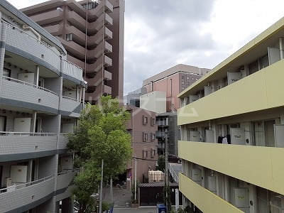 8/19 その他画像