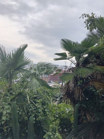 16/30 その他画像