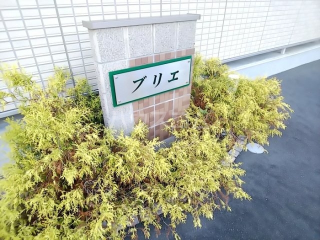 17/27 その他画像