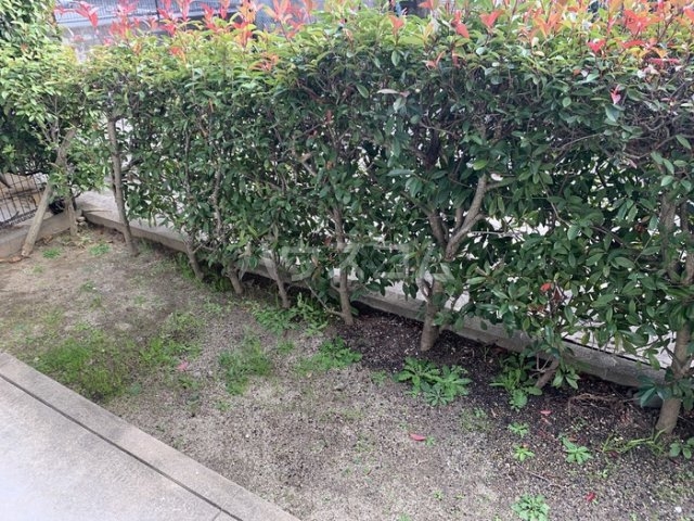 12/16 その他画像