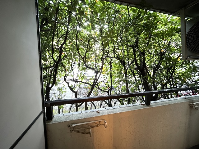 16/25 その他画像