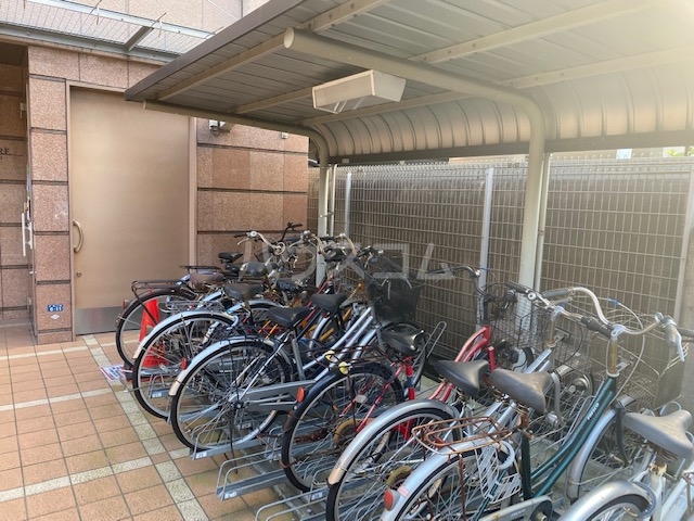 25/28 その他画像