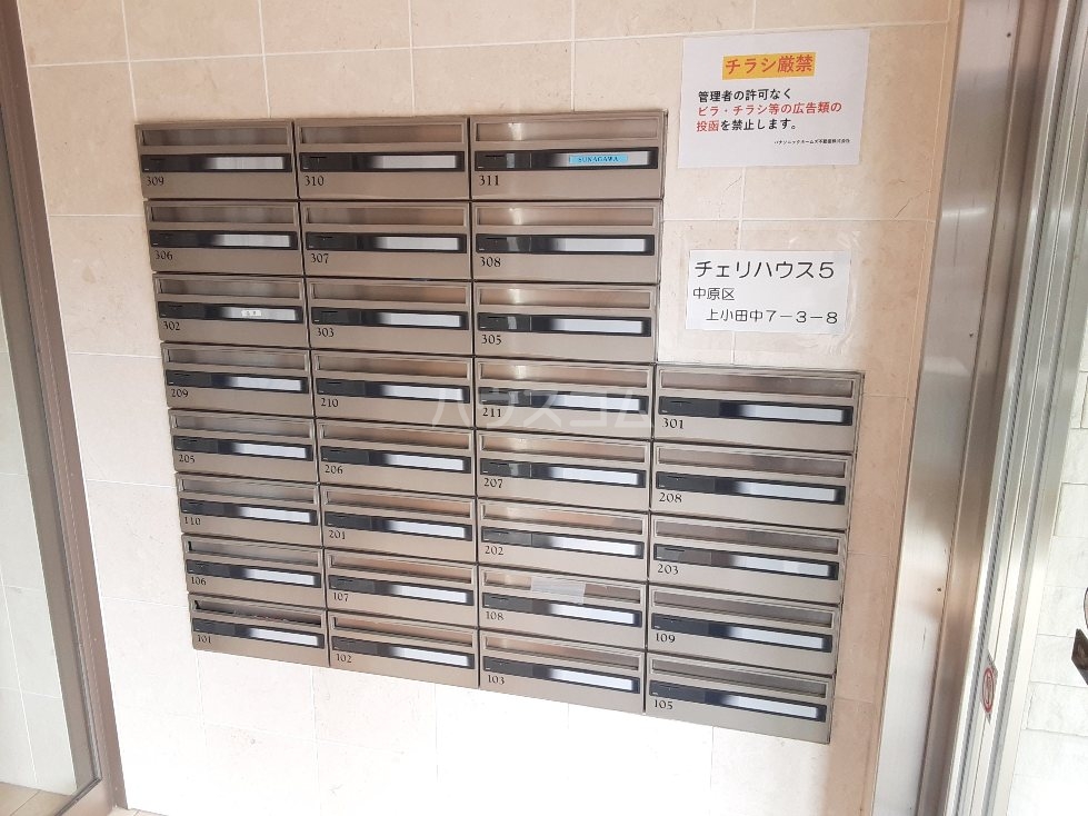 20/30 その他画像