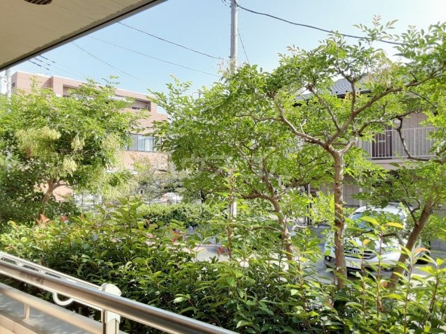 16/30 その他画像