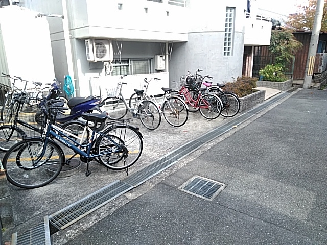 その他共有