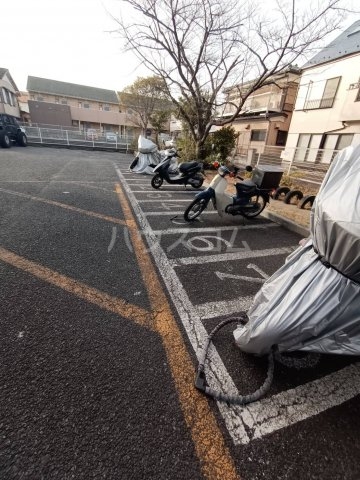 20/30 その他画像