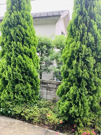 15/30 その他画像