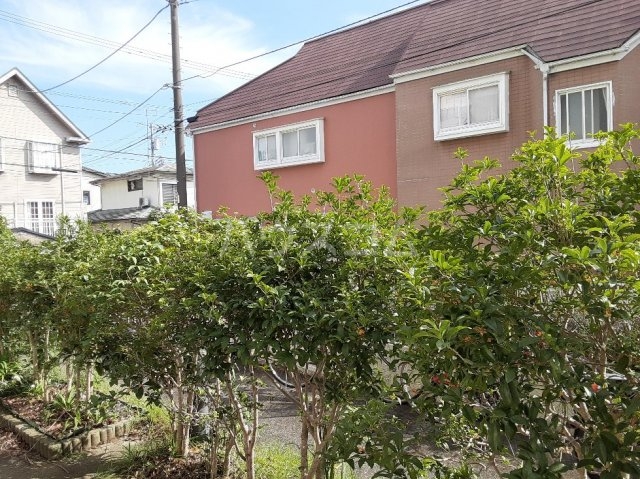 15/25 その他画像