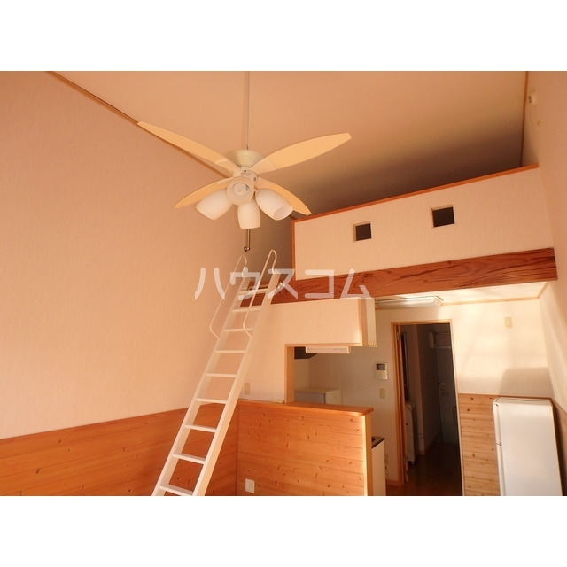 15/25 その他画像