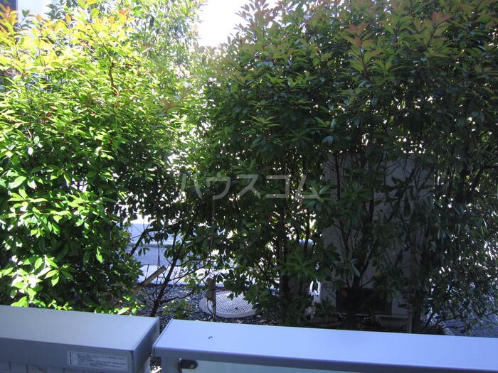 12/23 その他画像