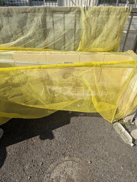 24/28 その他画像