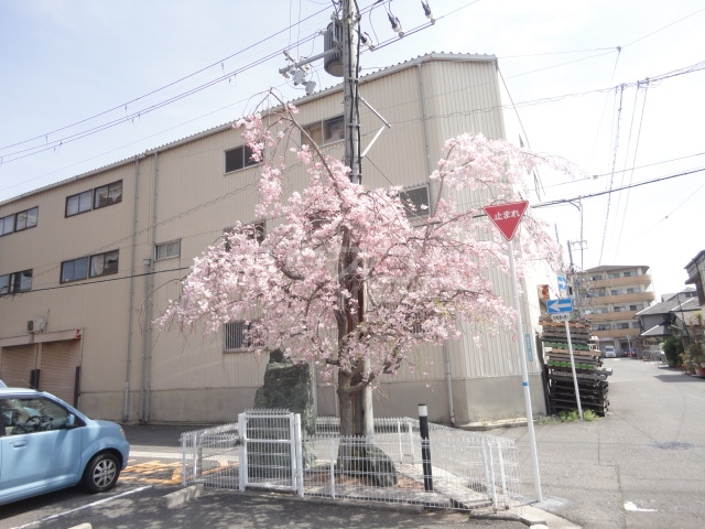 18/23 その他画像