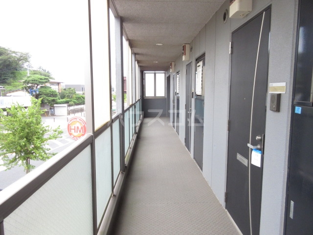 15/30 その他画像