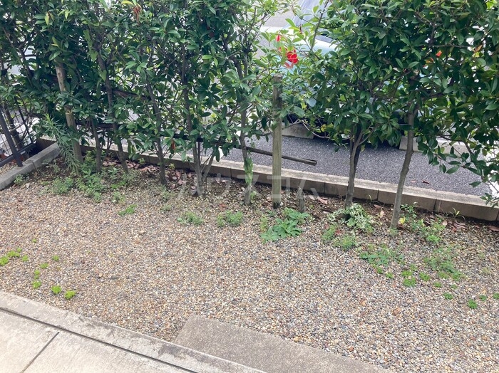 14/20 その他画像