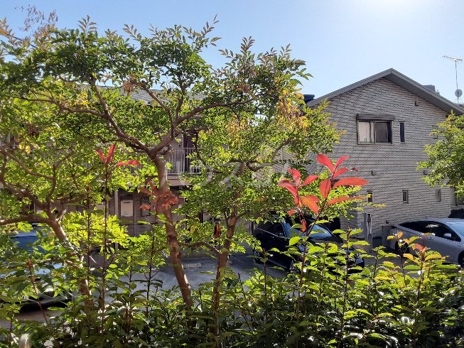 14/23 その他画像