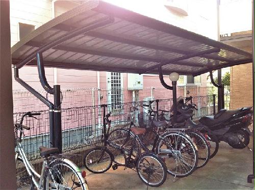 11/15 その他画像