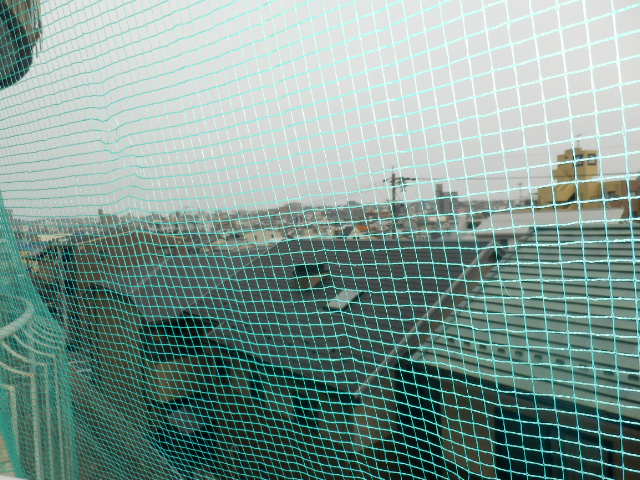 19/24 その他画像