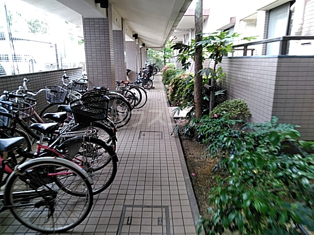 5/17 その他画像